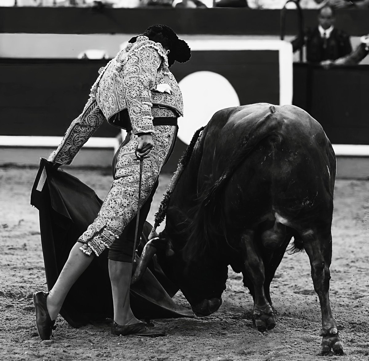jroch18's tweet image. La belleza absoluta sigue existiendo en el mismo mundo que vive Morante de la Puebla. Su tauromaquia durante este 2025 es una interpretación del misterio de la naturaleza humana y nos ayuda a seguir amando la vida. Muletazos imposibles (de convertir en palabras). El toreo total.