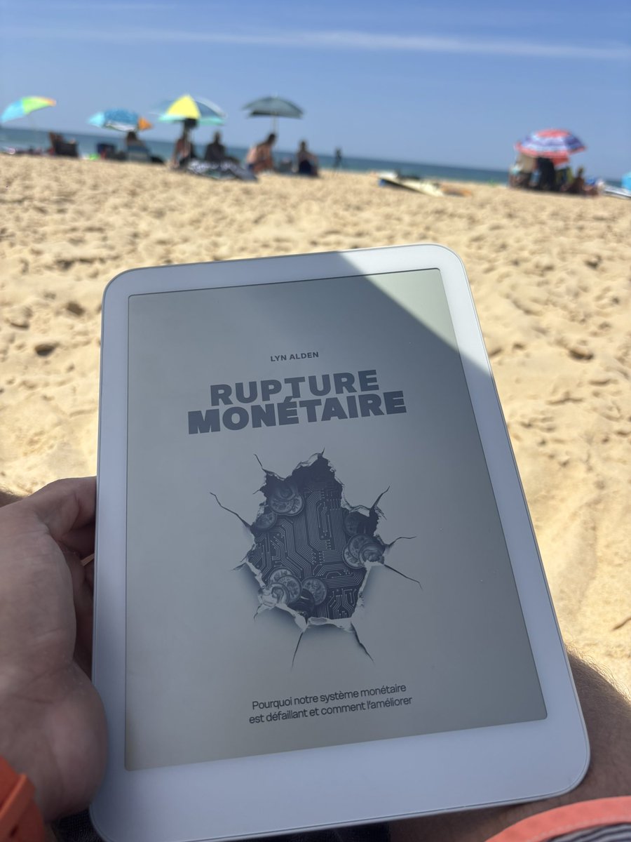 📖 Rupture monétaire est désormais disponible en Ebook 

Bonne lecture et bonnes vacances à tous ! 🌞