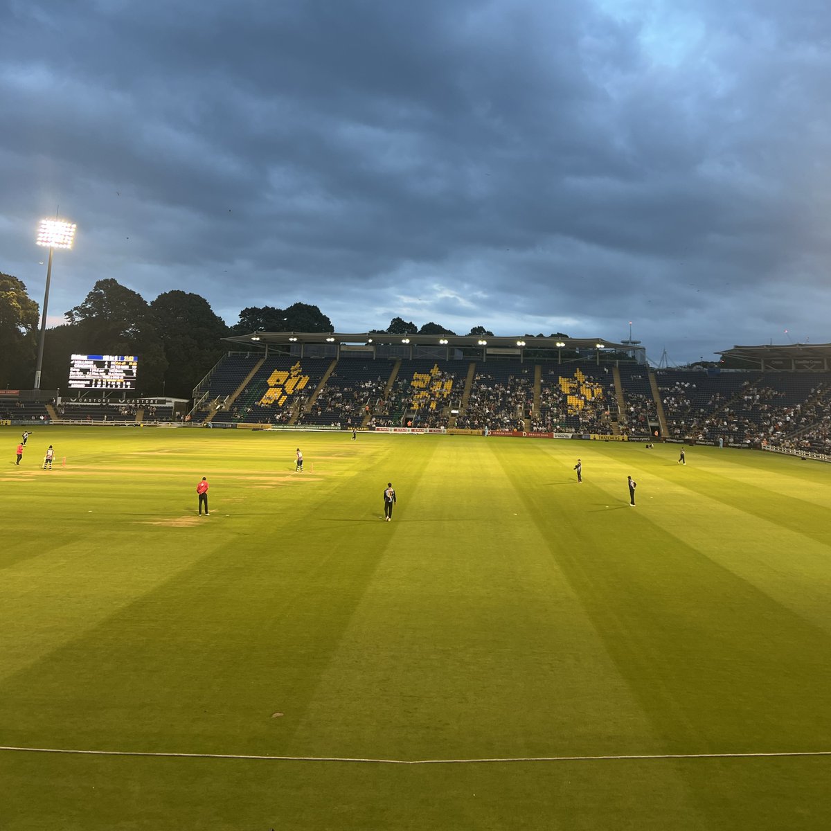 PureCyberLtd's tweet image. Proud to attend the @GlamCricket × @CymruWomenSport networking event at Sophia Gardens. An inspiring day of honest discussion, great cricket and shared progress. Whether in sport or cyber, inclusion matters - and we’re committed to driving it forward. 🏏