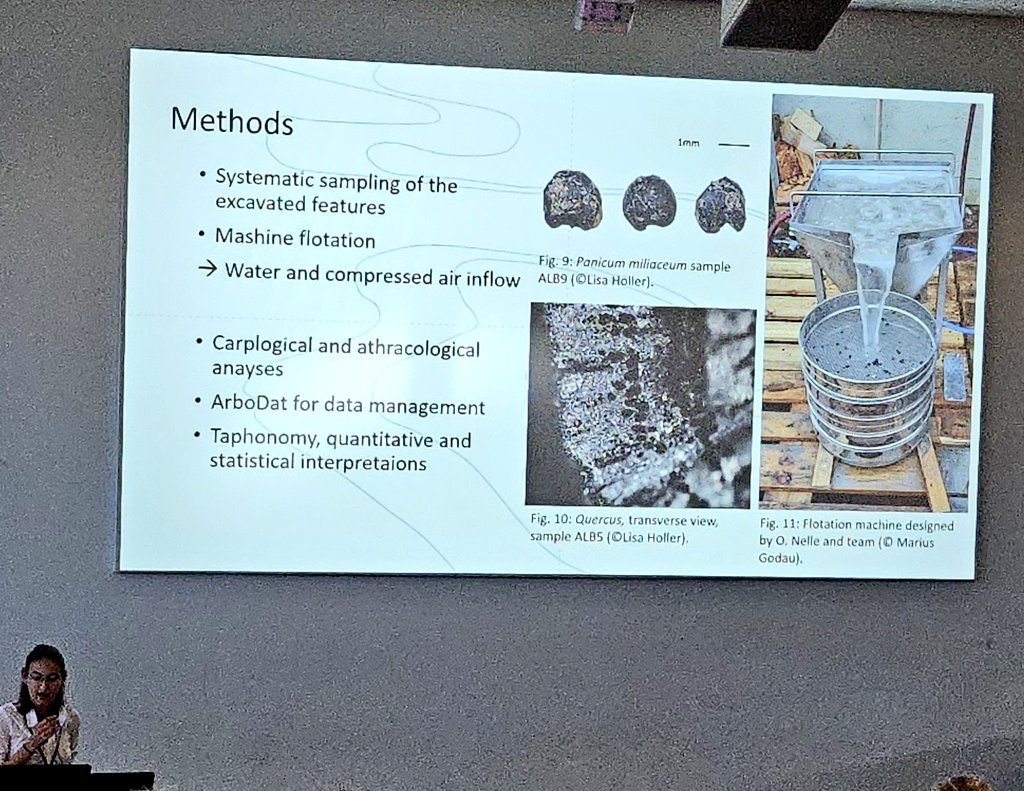 DrJenniferBates's tweet image. 1st day (morning session) at #IWGP2025 is on urban landscapes and we have talks on the Late #Neolithic ovens, Bulgarian city walls, Celtic oppidum, #Vikings pit houses, and Ephesos.
#Groningen #archaeobotany #archaeologicalscience #archaeology