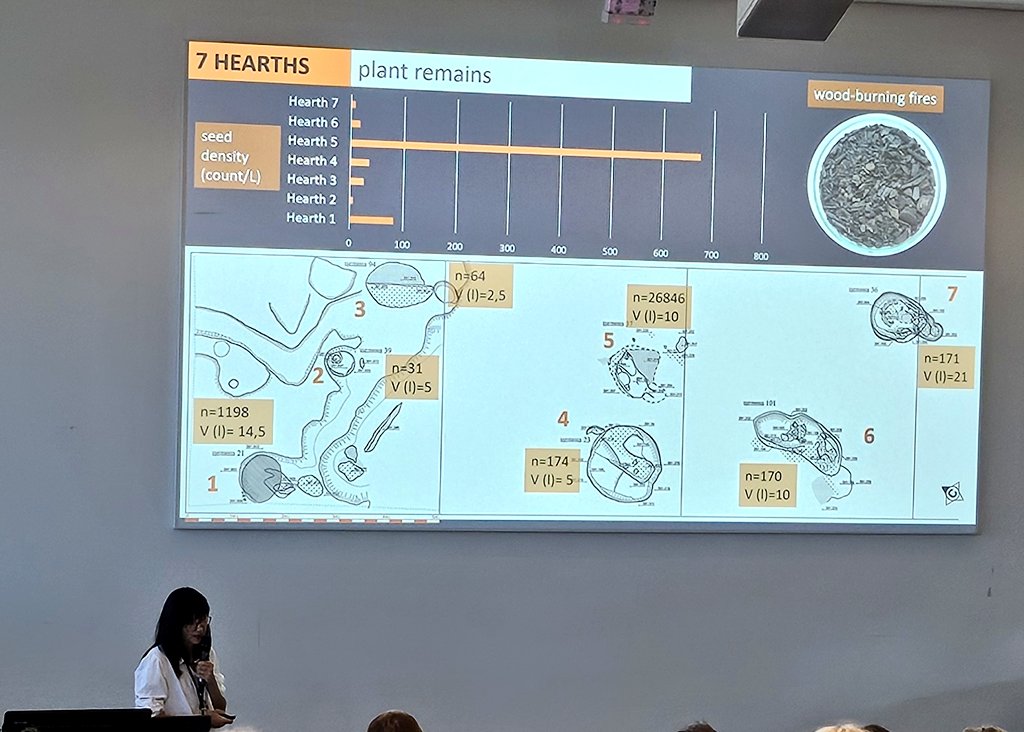 DrJenniferBates's tweet image. 1st day (morning session) at #IWGP2025 is on urban landscapes and we have talks on the Late #Neolithic ovens, Bulgarian city walls, Celtic oppidum, #Vikings pit houses, and Ephesos.
#Groningen #archaeobotany #archaeologicalscience #archaeology