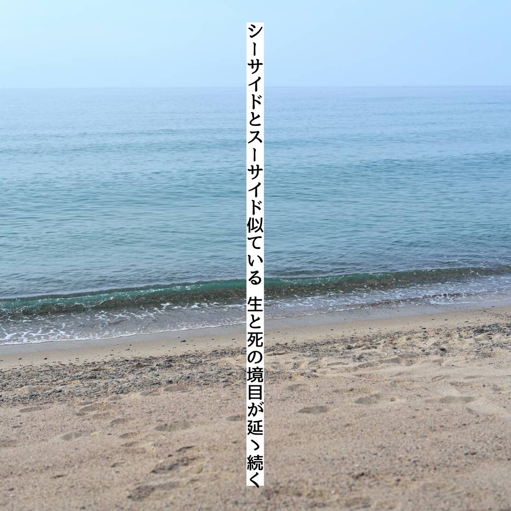 ShitaraMoshika4's tweet image. シーサイドとスーサイド似ている 生と死の境目が延々続く

#短歌 #tanka #海の日