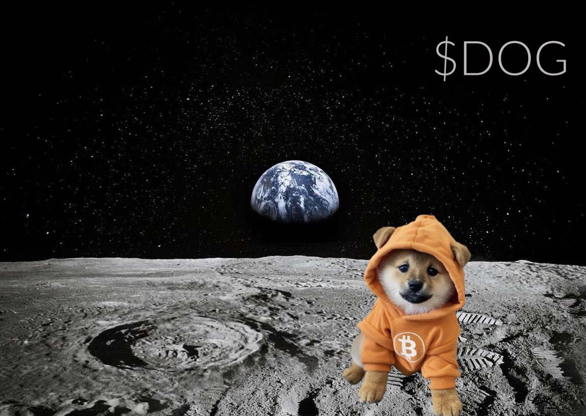OrdinalBonsai's tweet image. 🧠 Be smart… If you hold $DOG and believe in #Runes make sure you add additional #Runes to diversify your portfolio. Although $DOG will do very well, the gap in MC to the rest of #Runes leaves massive potential 🔥
$LOBO
$MIM
$PUPS
$BOZO