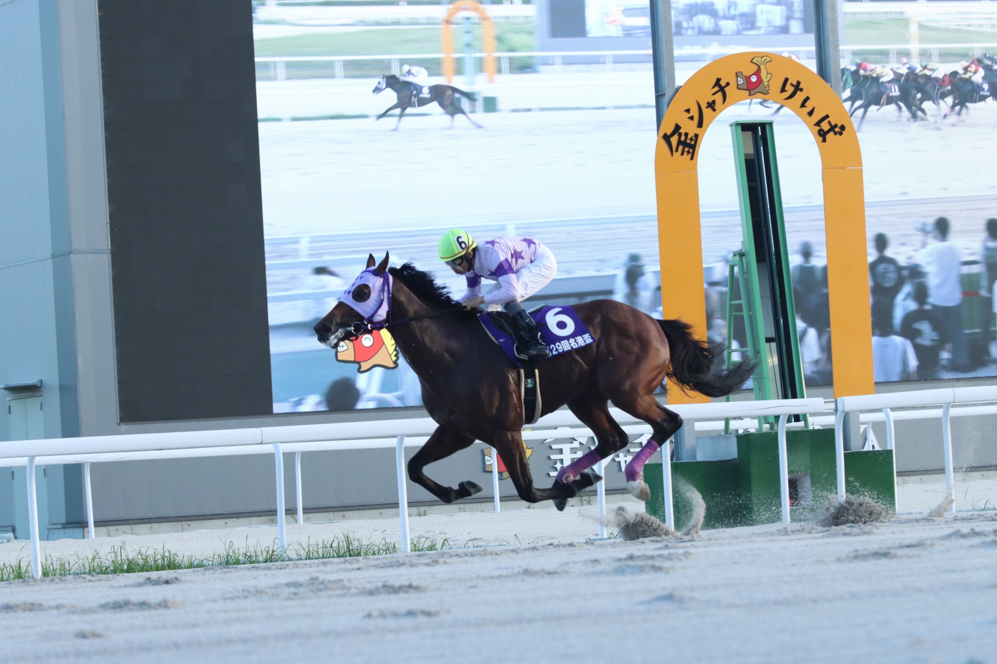 競走馬成績書22冊セット　地方競馬全国協会 競走馬成績書22冊セット地方競馬全国協会