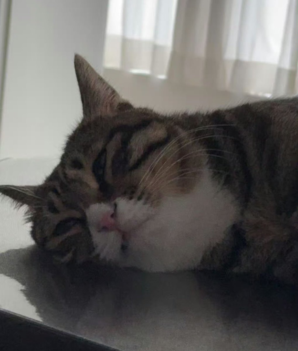 ye_tu_'s tweet image. 🥺👉🫠