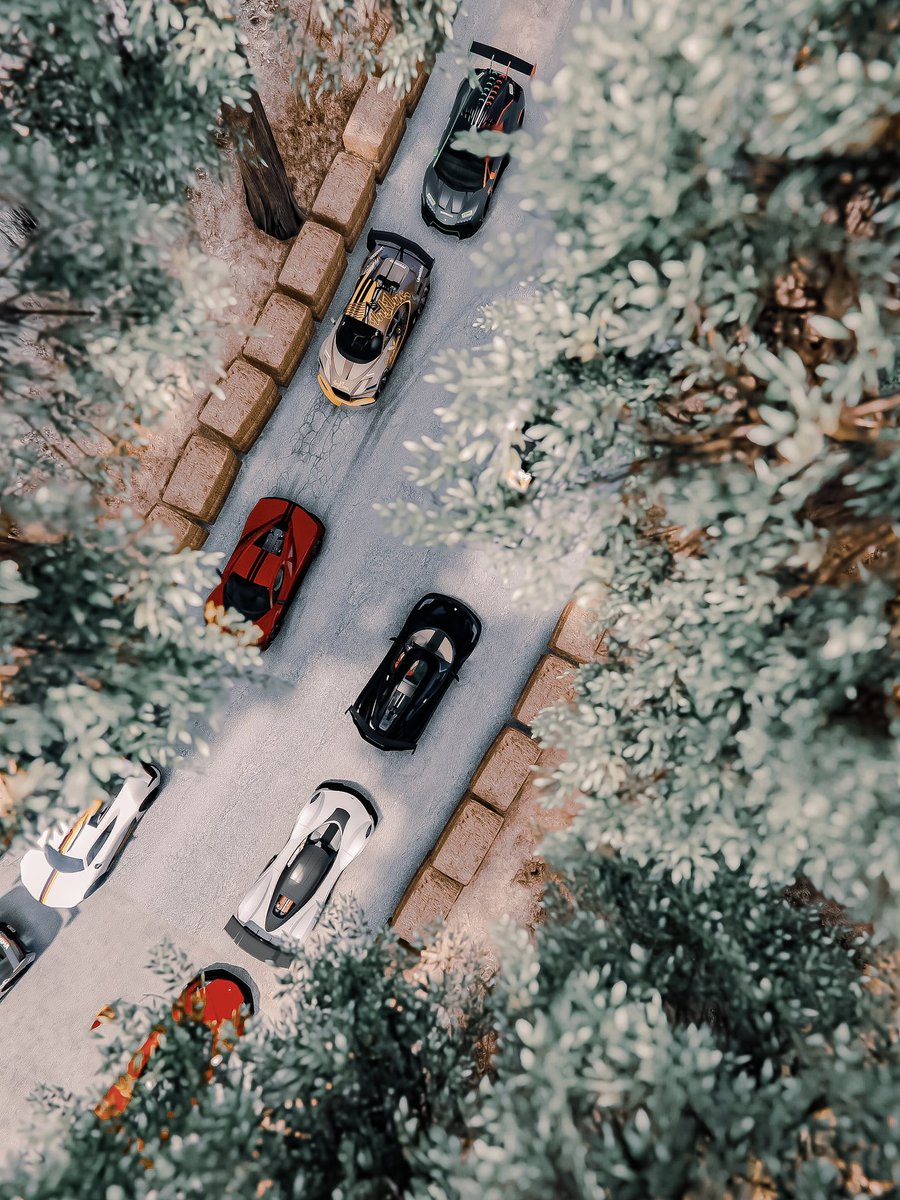 Additional shots featuring a random bird that smokes #GANGSTANCE