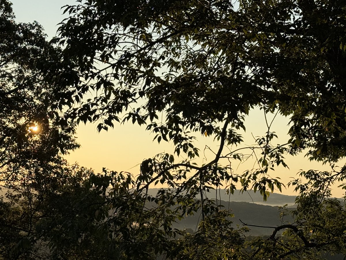 "Create in me a clean heart, O God,
and put a new and right spirit within me.

Do not cast me away from your presence,
and do not take your holy spirit from me.

Restore to me the joy of your salvation,
and sustain in me a willing spirit."

(Psalm 51:10–12, NRSV)