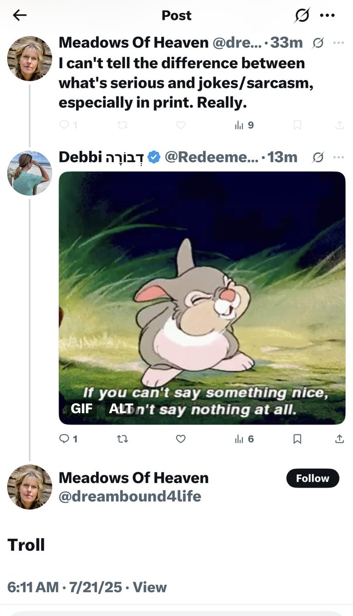 RedeemedRags's tweet image. When a troll comments on your post then calls you a troll then blocks you. 🤣