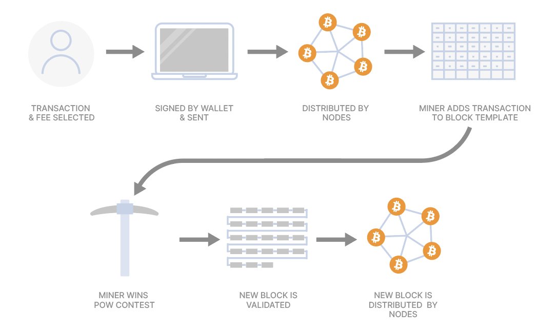 Bitcoin Fundamentals
The blockchain, the role of Nodes and Miners:
diananajjumabitcoinnotes.hashnode.dev/bitcoin-fundam…

#mybitcoinnotes
<a href="/btc_dada/">Bitcoin DADA</a> 

Diagram from <a href="/unchained/">Unchained</a>. unchained.com/blog/what-is-a…