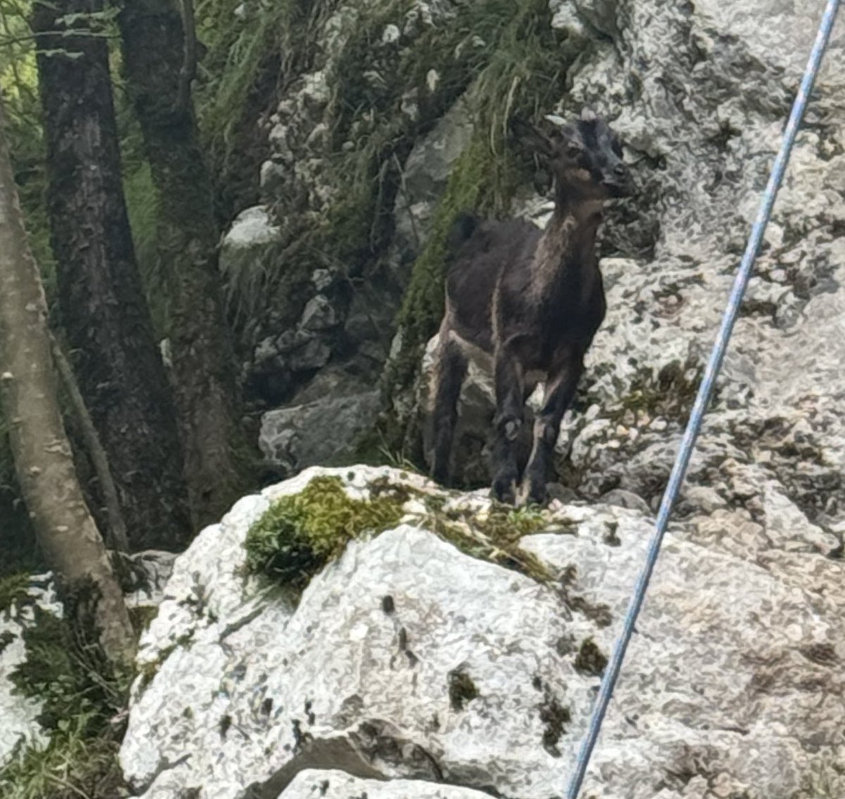 strankaSDS's tweet image. Danes smo pod budnim očesom profesionalcev premagovali skalo ;)
Jutri zvečer pa vabljeni v Kamp Klin na potopisno predavanje o Namibiji. Se vidimo 👋
