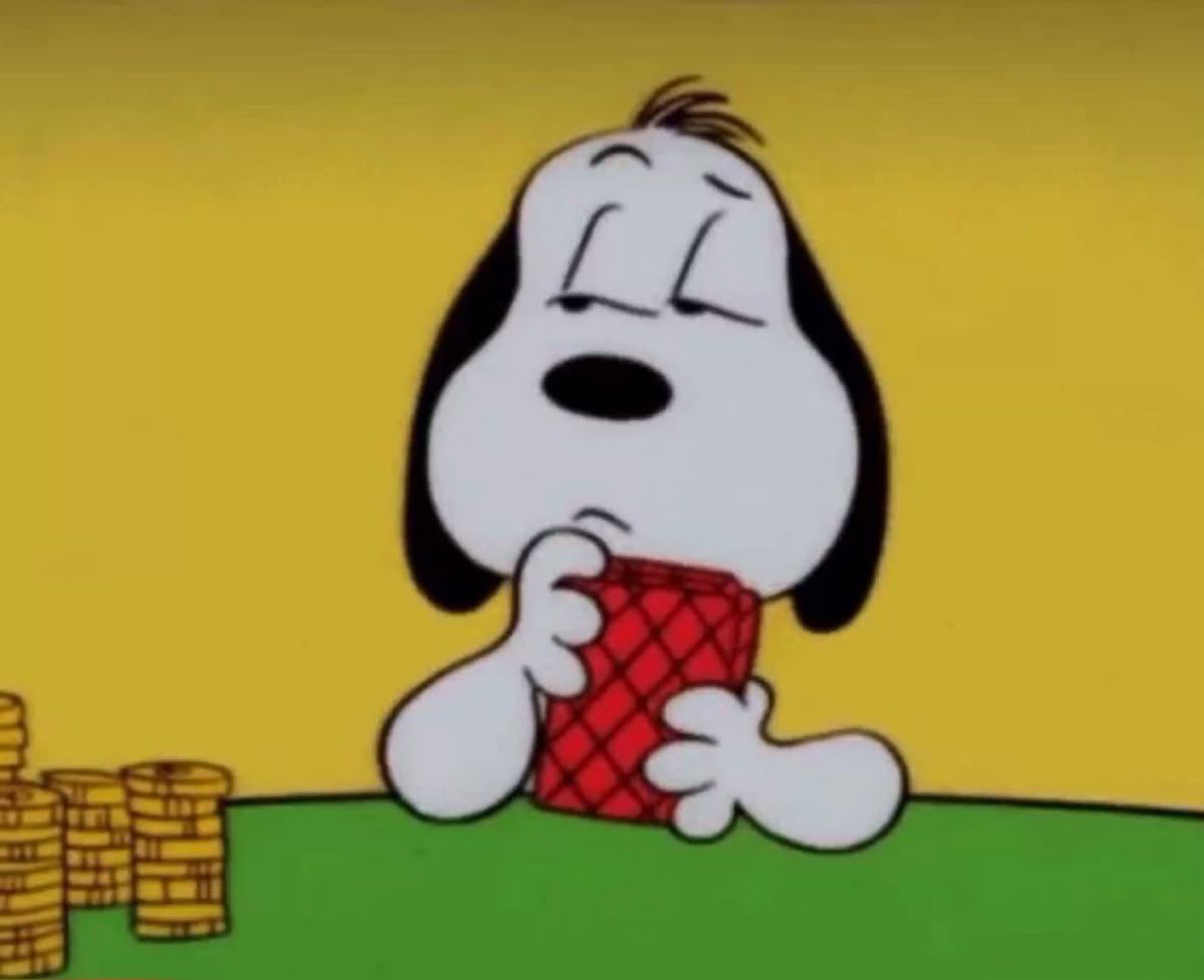 ˖⁺‧₊˚♡˚sainz snoopy ˚♡˚₊‧⁺˖ (@csainzsnoopy) on Twitter photo 