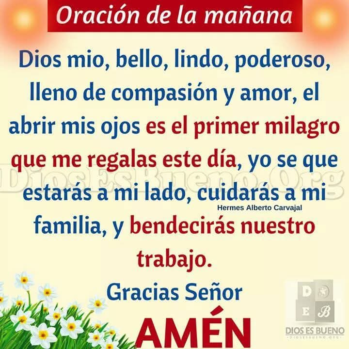 IldefonzoIsabel's tweet photo. @oracion_diaria Así sea, amen y amen https://t.co/h1RpS6T9lH