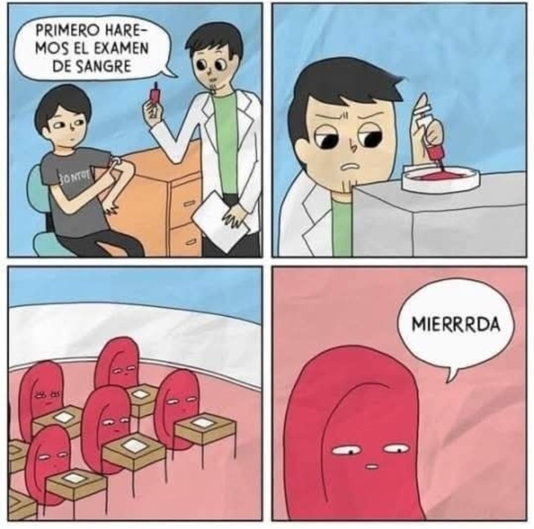 Ana_LaPatata (@ymuchosmemes) on Twitter photo 