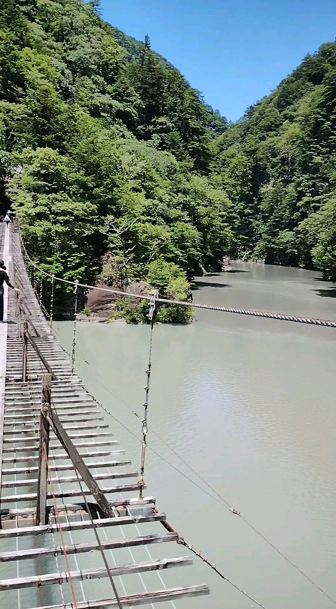 mzkatz1413's tweet image. 寸又峡の夢の吊り橋。
先日の雨の影響で
残念ながら水は濁ってました。