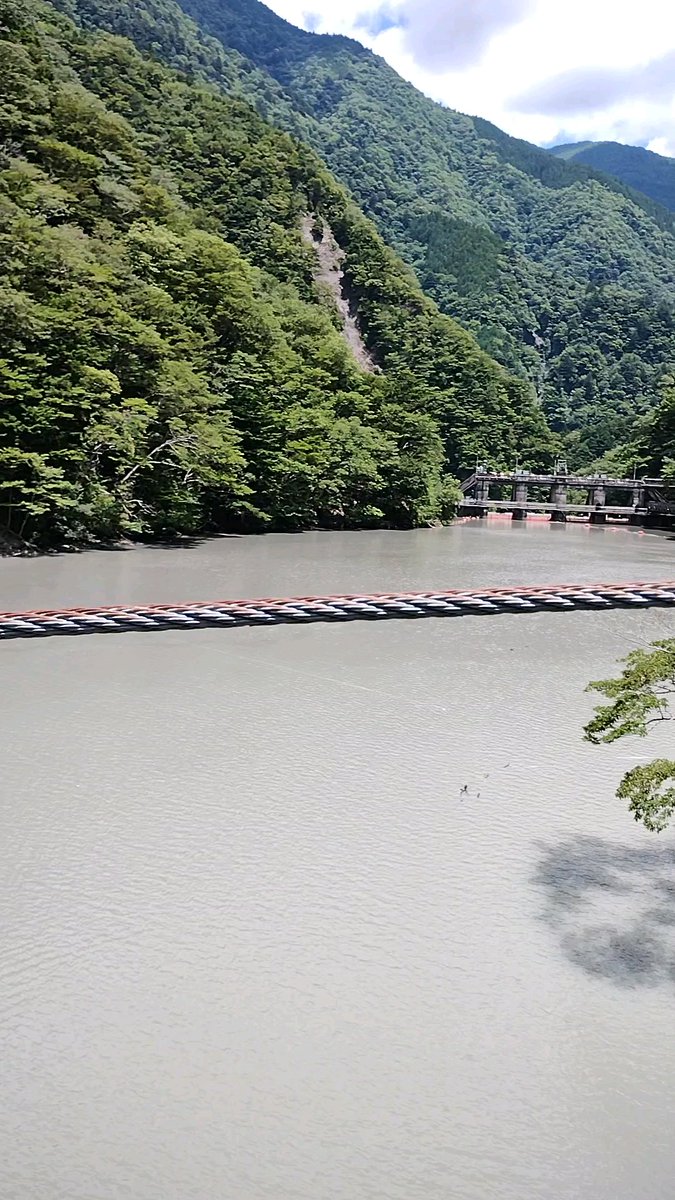 mzkatz1413's tweet image. 寸又峡の夢の吊り橋。
先日の雨の影響で
残念ながら水は濁ってました。
