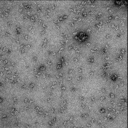 Israel Fernandez tweet media