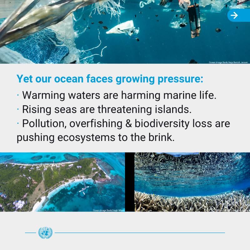 UNSriLanka's tweet photo. Sri Lanka's economy is deeply tied to the ocean, yet faces mounting marine threats including overfishing & plastic pollution.
🇱🇰 has pledged to form an interministerial body to ratify the #BBNJ Agreement & backed the #NiceCall for a strong global plastics treaty.
Learn more🔽