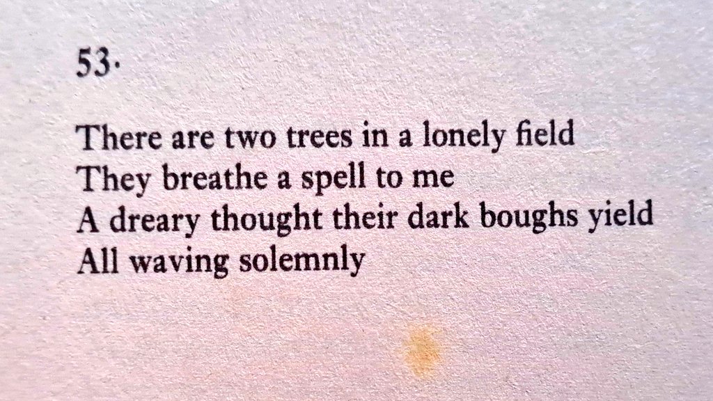 arealmofwonder's tweet image. 4 Worthwhile Poetic Snippets 🔥
Pick your favourite...
A • Hopkins B • Emily Brontë
C • D.H. Lawrence D • Dickinson
(Repost to spread the magic ✨️)