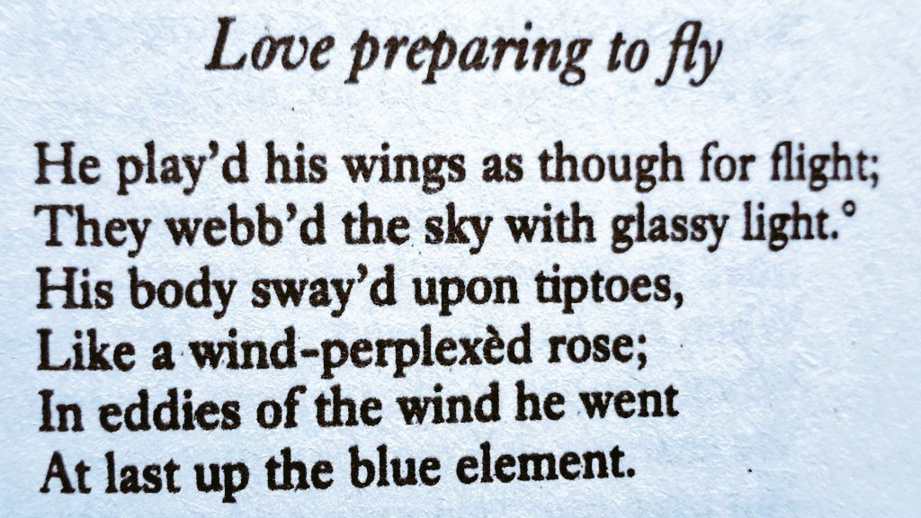 arealmofwonder's tweet image. 4 Worthwhile Poetic Snippets 🔥
Pick your favourite...
A • Hopkins B • Emily Brontë
C • D.H. Lawrence D • Dickinson
(Repost to spread the magic ✨️)