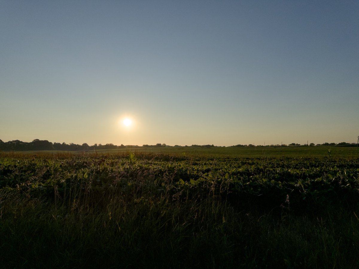 chadptorres's tweet photo. I always forget just how good #ProcessZero using @halidecamera is. https://t.co/tKCb32WPWo