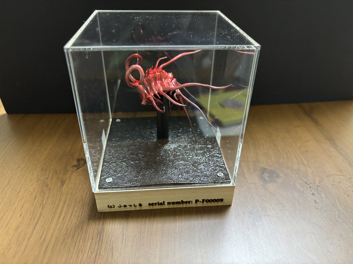 博物ふぇすてぃばる戦利品④ ディクラヌルス・モンストローサス 三葉虫