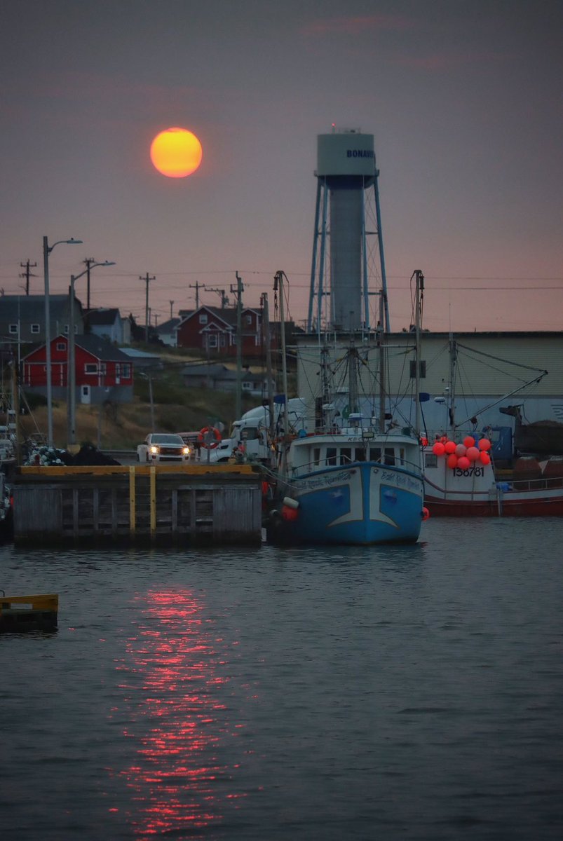 Mike_Fabricant's tweet image. Heading off on my annual visit to Newfoundland at the end of the week…..