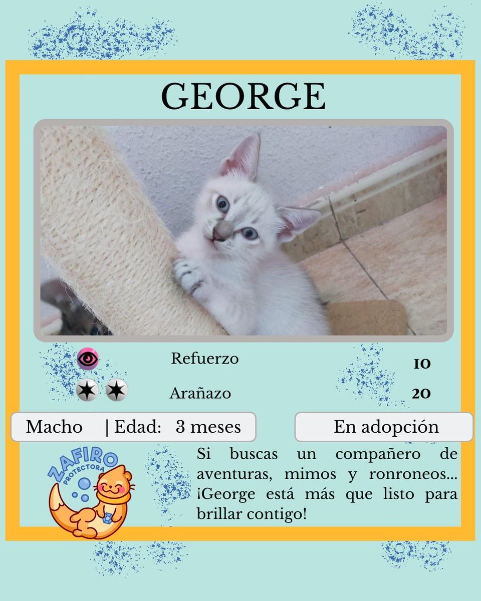 ZafiroProte's tweet image. 🩵 GEORGE EN ADOPCIÓN 🩵
¡El último de nuestro trío de estrellas! Este galán está listo para conquistar el papel más importante: ser tu compañero de vida. Sus ronroneos son música para los oídos, el mejor guión que podrías desear.
🐾 George
🎂 3 meses
📍 Murcia
✈️ Puede viajar