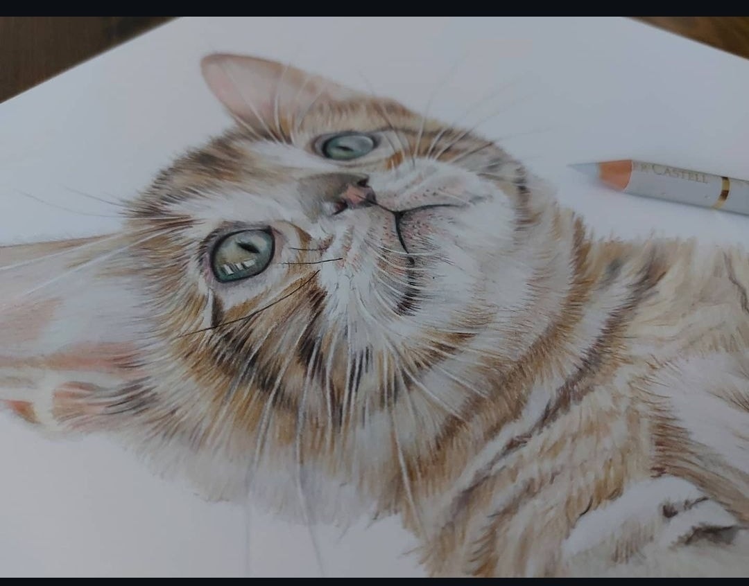 srh_sue's tweet image. 15% discount when booking a commission. Available until the end of July.
#drawing #art #petportraits #wildlifeart #animalart