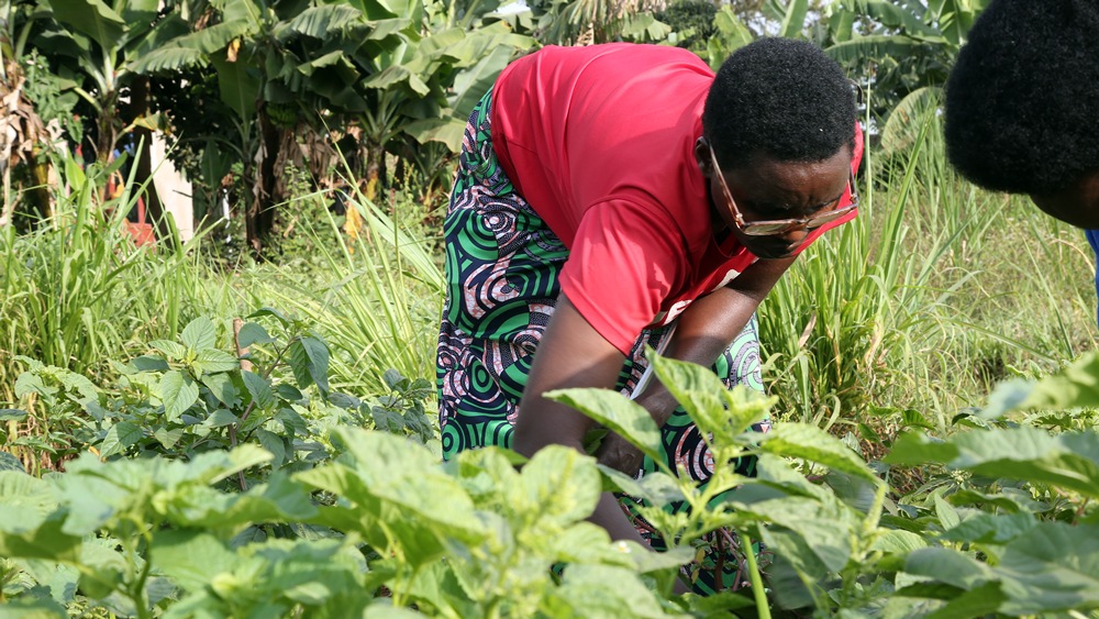 Adjusting to society when living with a visual impairment can be a formidable challenge. For many, the fear of misunderstanding and societal barriers create insurmountable obstacles. Yet, stories like that of Nyirantezimana Liberatha.... Read more here: rubrwanda.rw/19942-2/