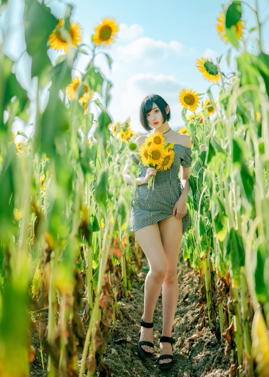 ひまわり畑に迷い込んだよ🌻 https://t.co/kTfXMadJPH