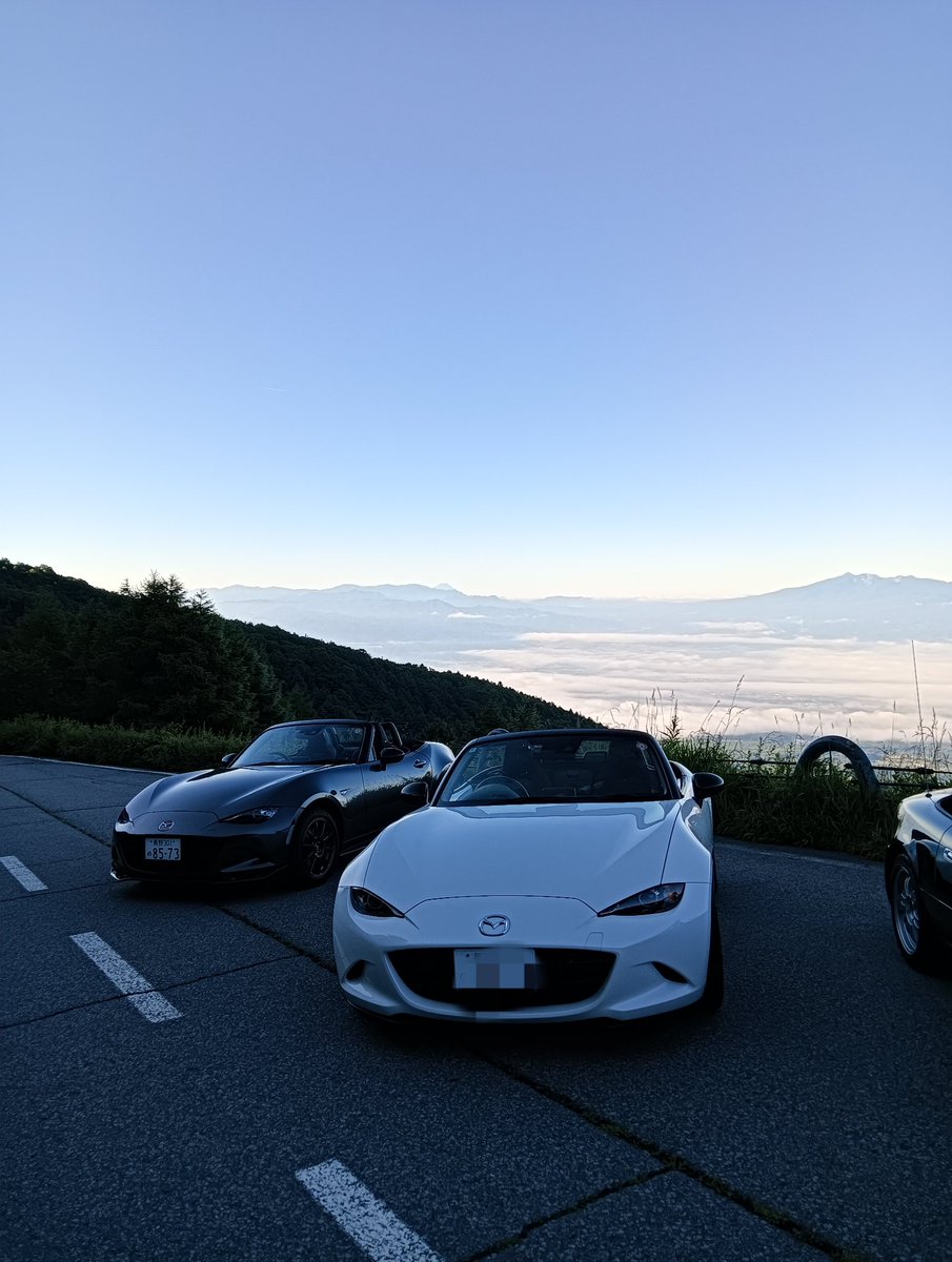 サカのぶ tweet media