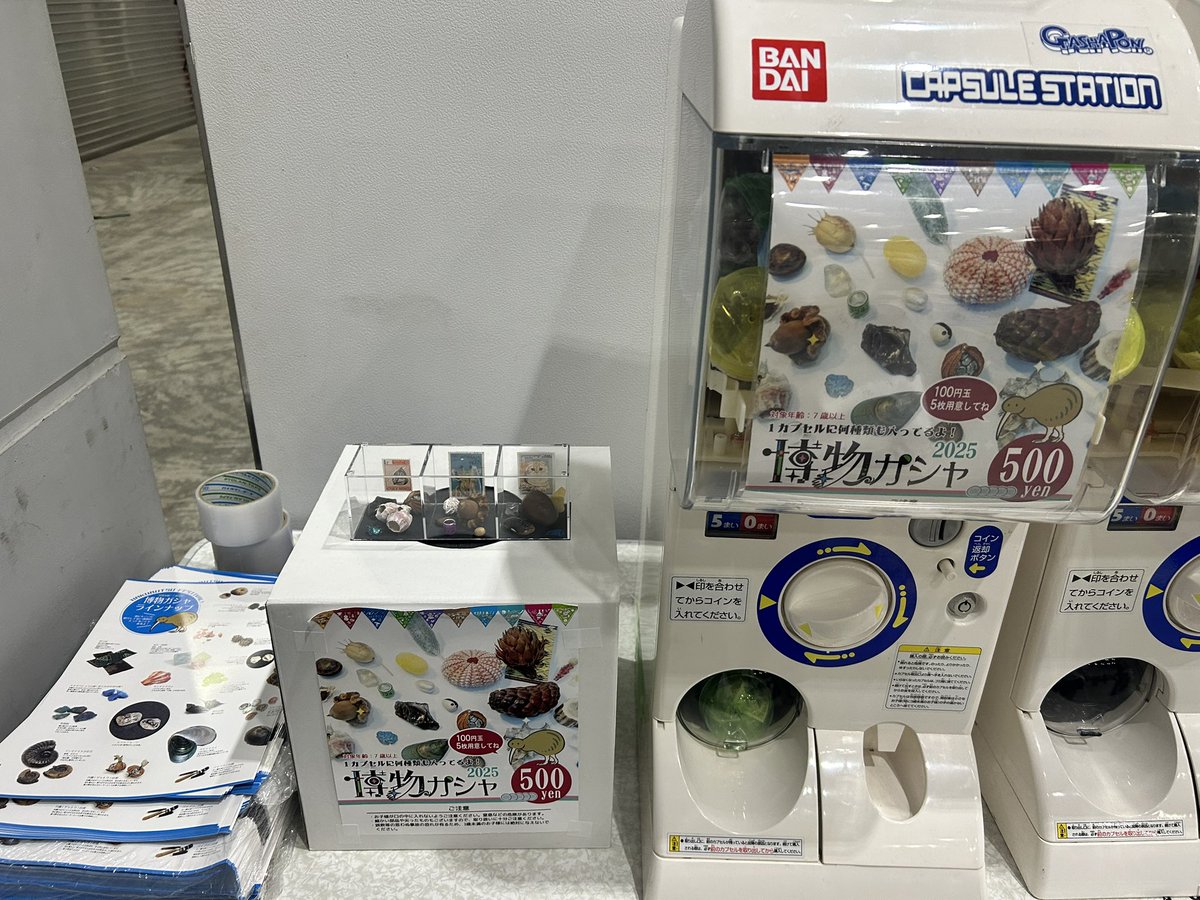 ai89187518's tweet image. 博物ふぇす行ってきました〜✨
深海、爬虫類、虫、透明標本、微生物…色々楽しかった!
アオウミウシのヘアゴムとベニテングダケイヤリング、土偶手拭い、盆栽イラスト集、ガチャたくさんお迎えしてホクホクです☺️