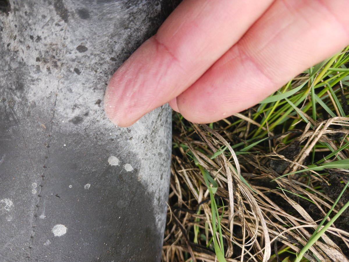 ImagesCoast's tweet image. What I believe is aluminum on my boots after a day of geoengineering spraying by commercial aircraft that was so heavy I could smell it while cell phone service was interrupted. Never ever happened before here.
July 7th 2025
#novaScotia #Canada #Chemtrails #depopulation…