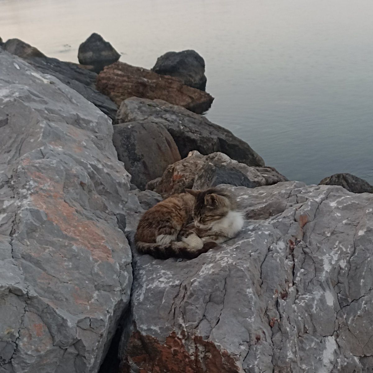 Mışıl,mışıl uyku ve deniz 👌