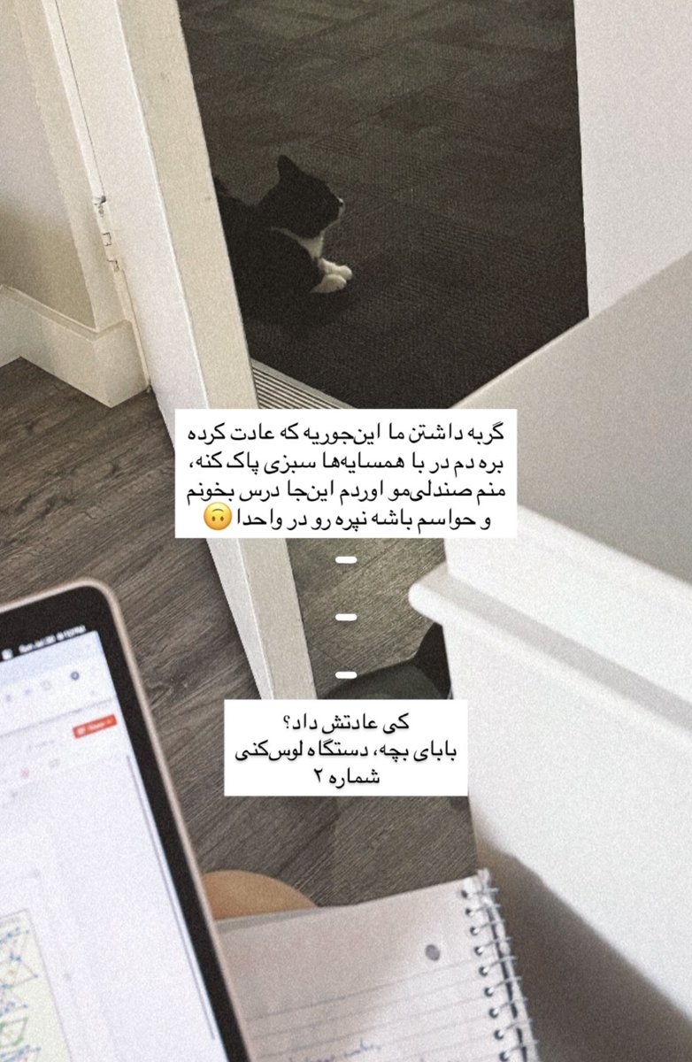 shahba1a's tweet image. گربه❌ همسایه‌ی آمار بگیر ✅
فدای اون تماشا کردنت بشم❤️