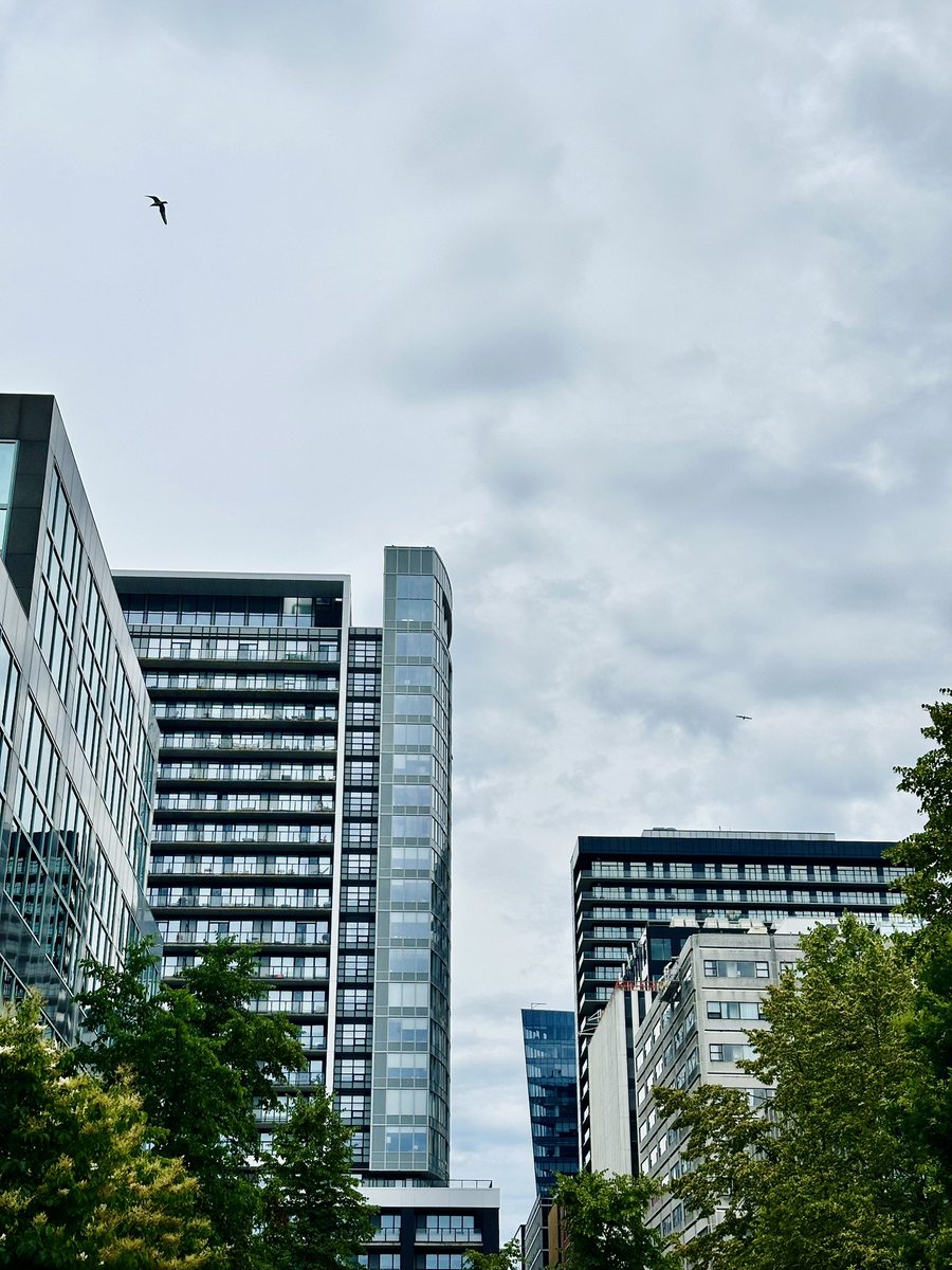 Bigdazw's tweet image. My Hometown Adelaide has 1.5million people & Halifax is a lovely little city as well.
However after spending the weekend here enjoying the sights I realize I’ve changed there is not a bit of city boy left in me.
I miss the sounds of horses, cows & roosters & I want to get home
