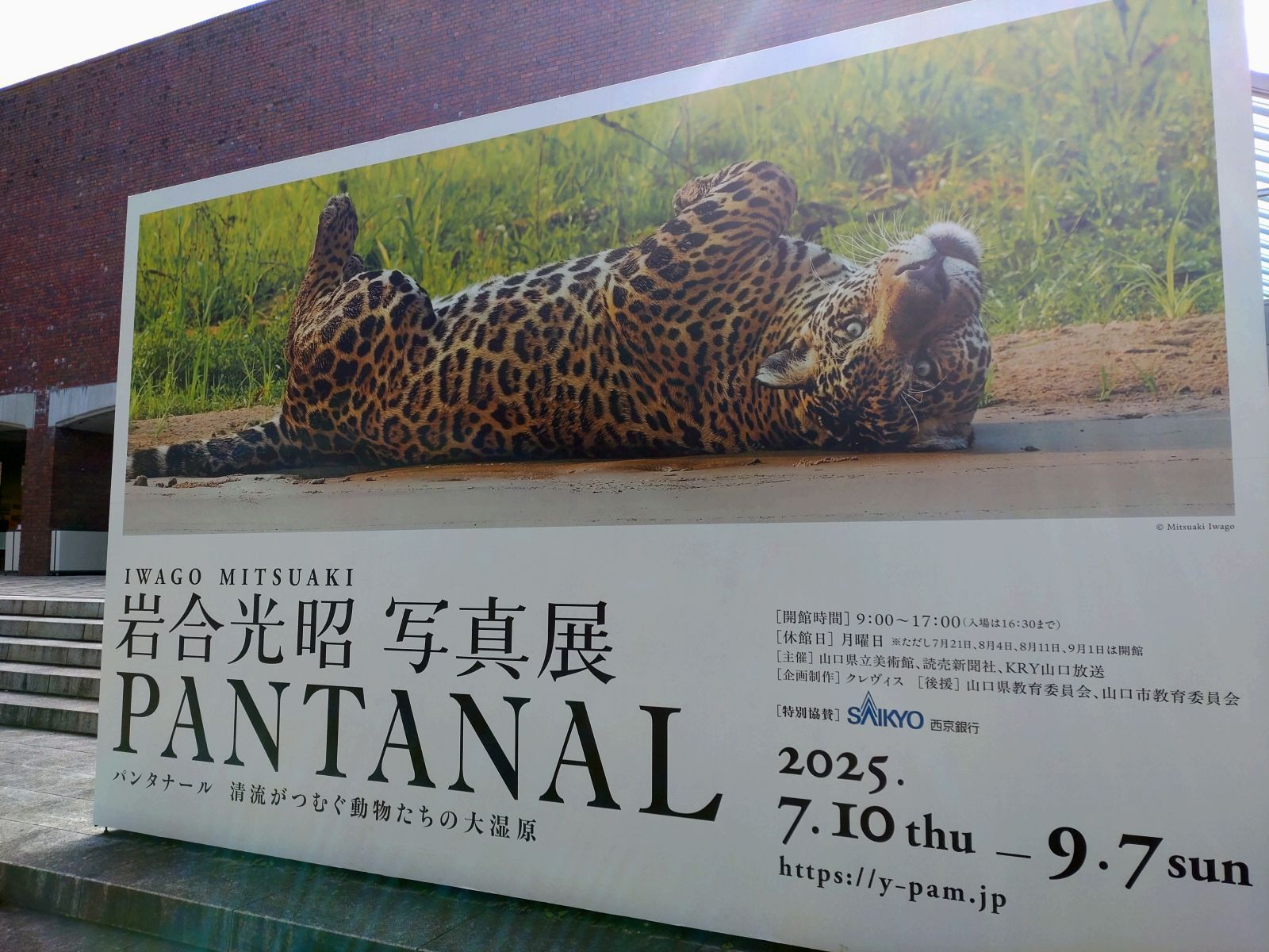 絶版　1986年　小学館　おきて　岩合光昭 動物写真家 岩合光昭 オフィシャルサイト | 写真集「おきて