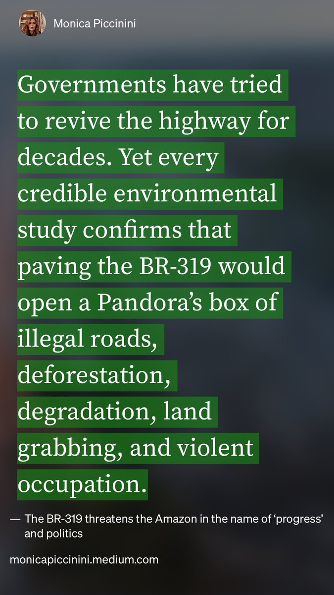 MAPICC2021's tweet image. “The BR-319 threatens the Amazon in the name of ‘progress’ and politics” by Monica Piccinini monicapiccinini.medium.com/the-br-319-thr…