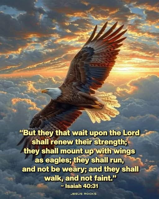 All of us have problems. And we can get depressed about our situations.
Trust in the LORD with all your heart, and lean not on your own understanding.
Proverbs 3:5
#JesusIsLord #JesusCares #GodIsLove