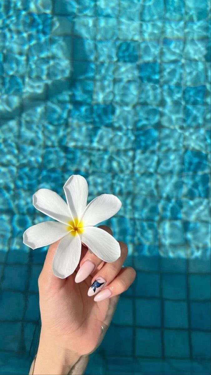 Eva11ll's tweet photo. 🫧🌺✨📸 https://t.co/c8sy0nAglo