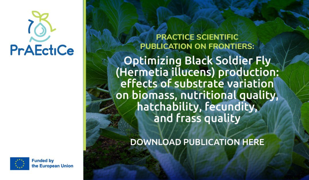 🌍PrAEctice publication!

This research paper focuses on the optimisation of Black Soldier Fly (Hermetia illucens) production

A Download the publication here: praectice.eu/scientific-pub…

#agroecology