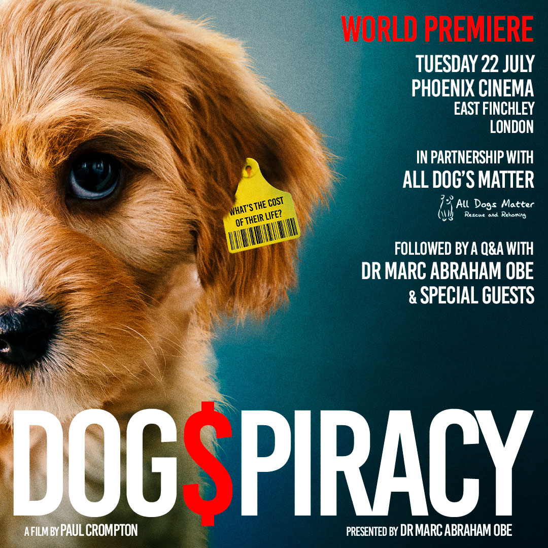 marcthevet's tweet image. WORLD PREMIERE: Looking forward to seeing all you dog lovers at the #Dogspiracy movie doc screening plus Q&A with very special guests, at the stunning @Phoenixcinema on Tues 22 July, in asoc. with the brilliant @AllDogsMatter! More info: phoenixcinema.co.uk/movie/dogspira… #AnimalWelfare