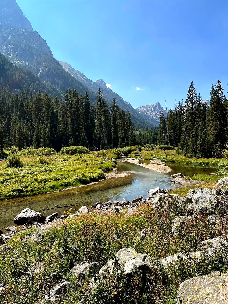 Good morning from Wyoming