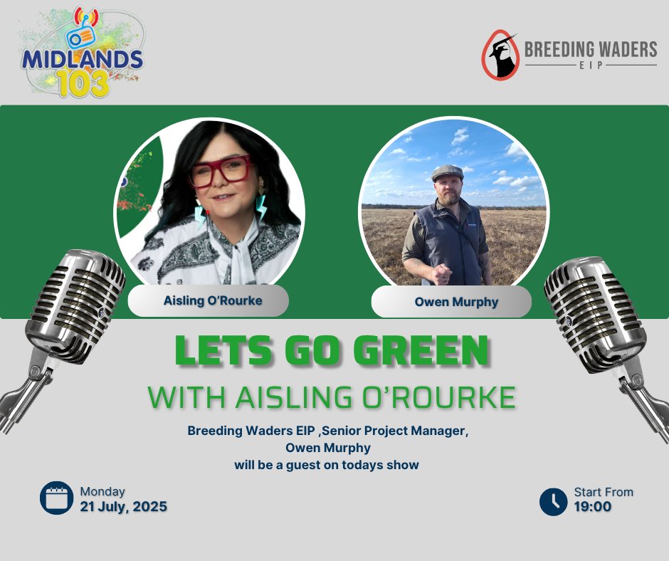 BreedingWaders's tweet image. 🎧 Want to catch up on all things Breeding Waders EIP?
We’ve got not one, but two opportunities for you this week!
🦉 In Your Nature – Our Senior Project Manager Owen Murphy joins Ricky Whelan to chat about on-the-ground conservation work. A perfect listen for your next drive!…