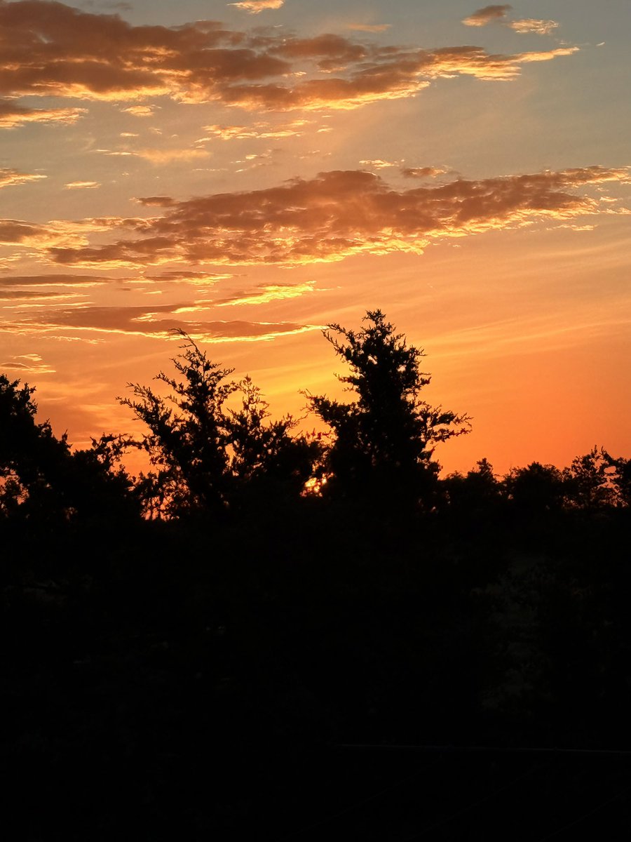 Good Morning, hope everyone has a wonderful day!