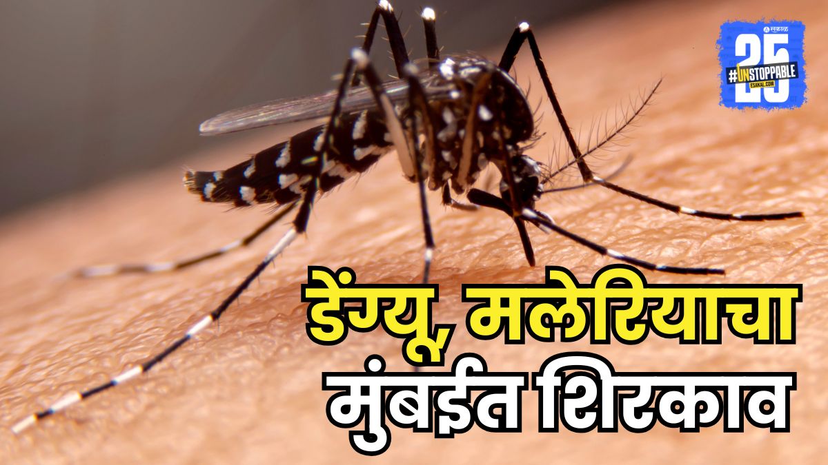 SakalMediaNews's tweet photo. डेंग्यू, मलेरियाचा शहरात शिरकाव, मुंबईकर तापाने फणफणले 

#Denguecase #MalariaAwareness #MumbaiHealth #FeverCases #MonsoonDiseases

https://t.co/aiAhBv1jJo https://t.co/lGQmR9QkZ6
