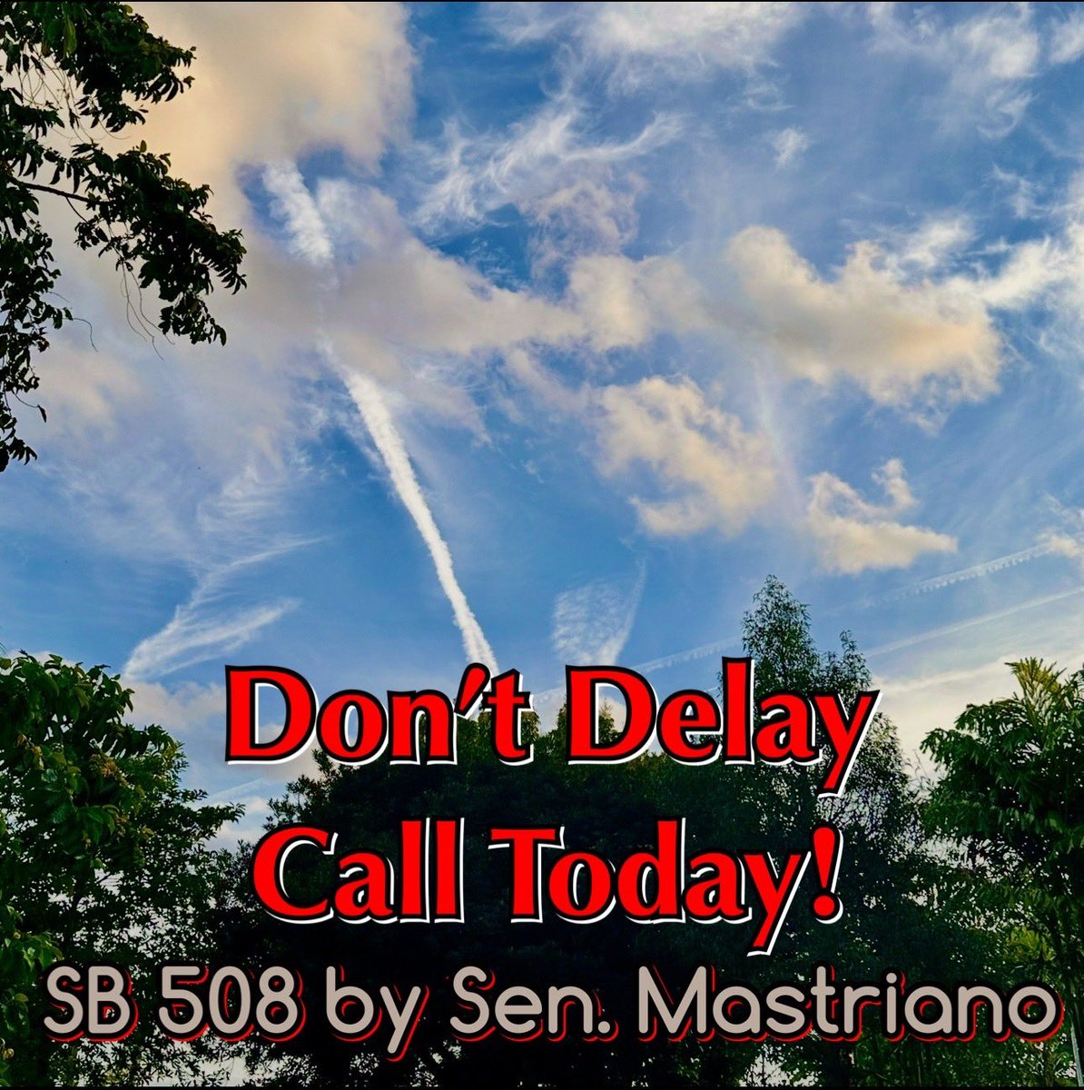 Tboo211's tweet image. TCSM ‼️CALL TO ACTION ‼️ HB 508 by @SenMastriano is sitting in the Senate Agriculture & Rural Affairs Committee. The most powerful ban Geoengineering Bill must get to a hearing! EVERY SKY ADVOCATE MUST CALL! Take 2 min to call the below Senators. This makes a huge difference, 10…