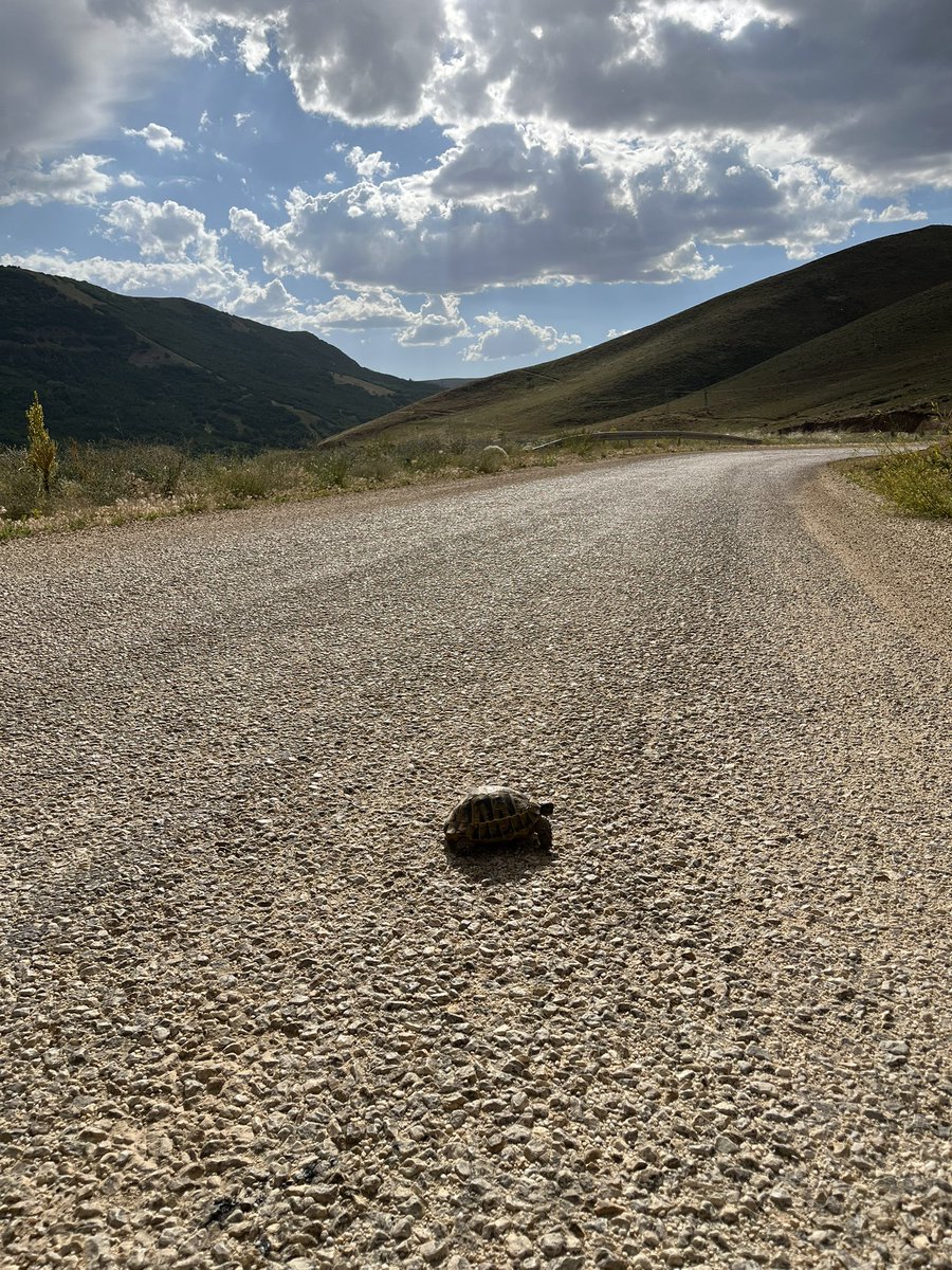 ozrelcn's tweet photo. 📍 Hınıs, Erzurum https://t.co/E2wQAzSrSE