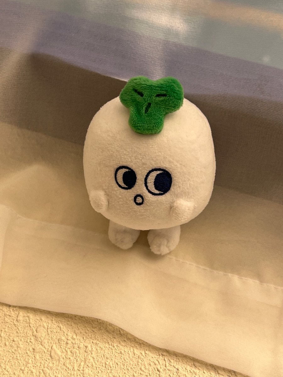 chu_chu__07's tweet image. 무인척 하는 괒…