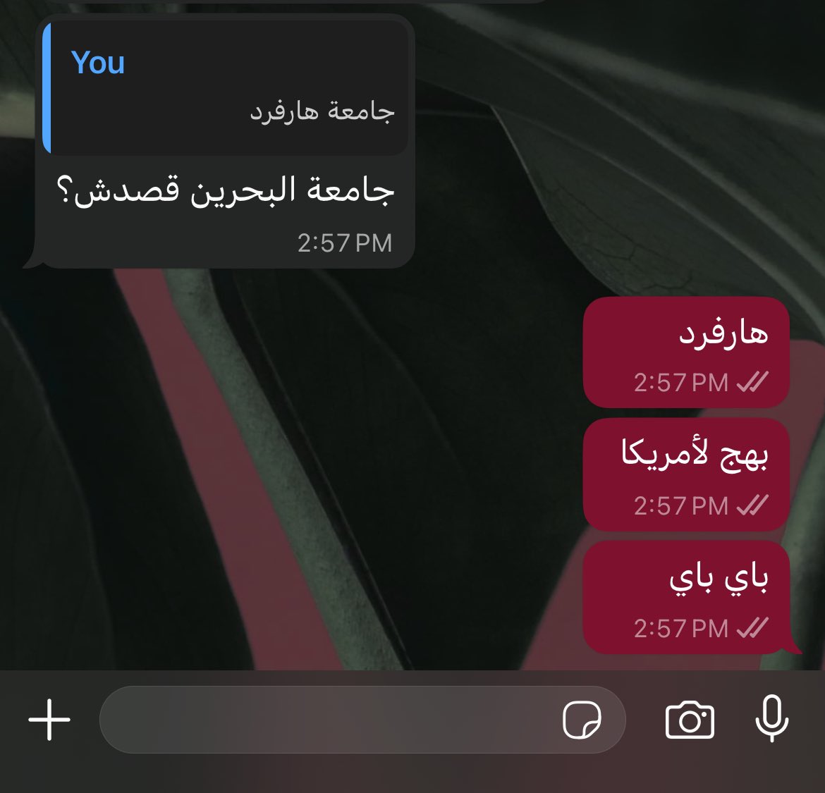 امي ليش ما تفهمها و هي طايرة؟

كان عندي مشكلة كالعادة مع الجامعة و يبون إثباتات صعبة ف شبهتها ب هالجامعة^